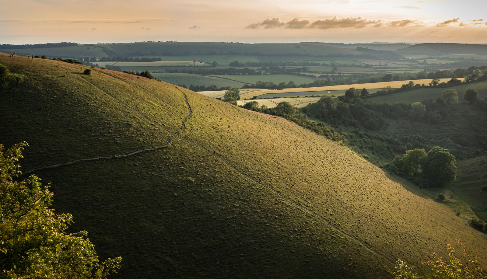 Butser Hill on The South Downs Way